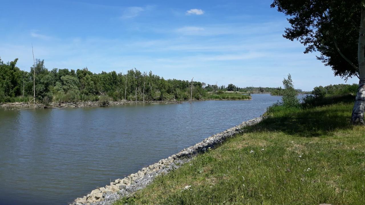 Biesbosch Bed & Breakfast فيركيندام المظهر الخارجي الصورة