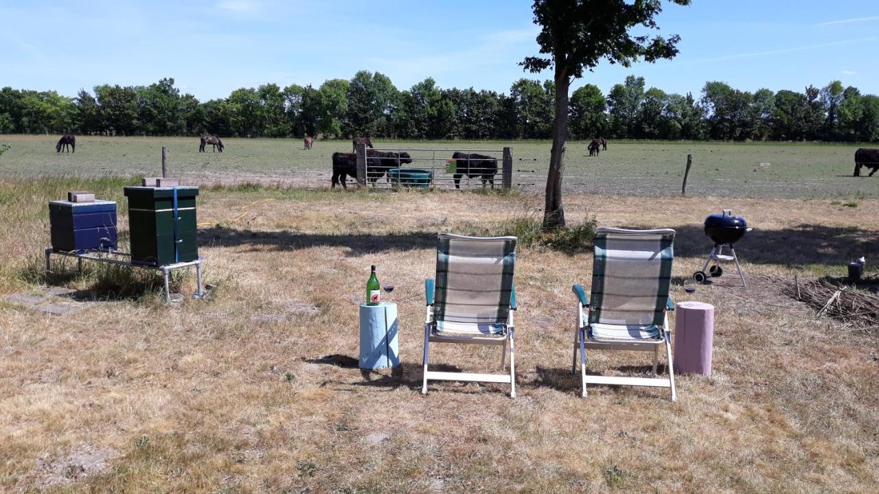 Biesbosch Bed & Breakfast فيركيندام المظهر الخارجي الصورة